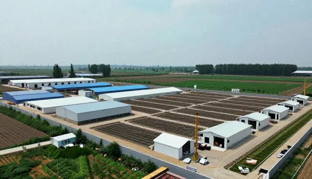 土建施工选型中的关键考量因素分析